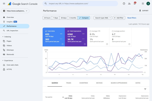 SEO Performance
