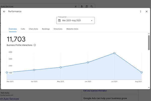 Local SEO Performance