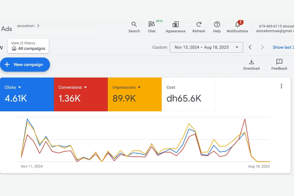 Google Ads Performance