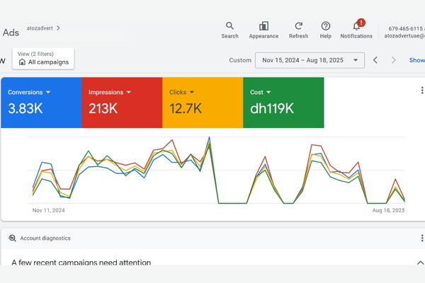 Google Ads Performance