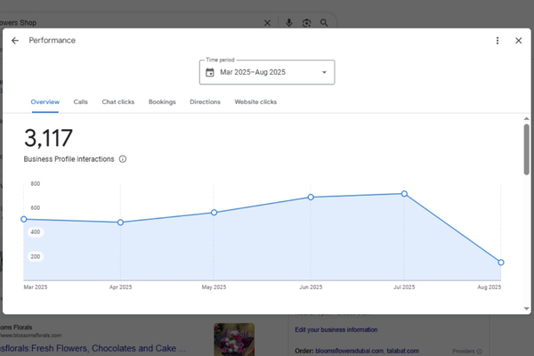 Local SEO Performance